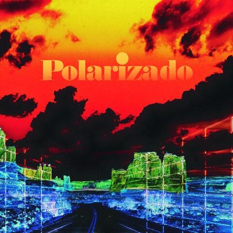 Polarizado