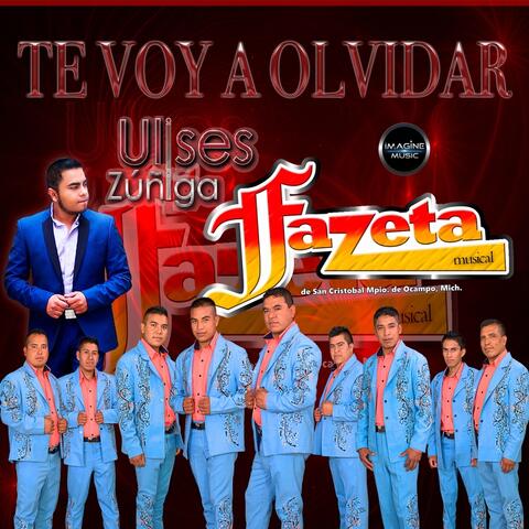 Te Voy a Olvidar (feat. Ulises Zuñiga)