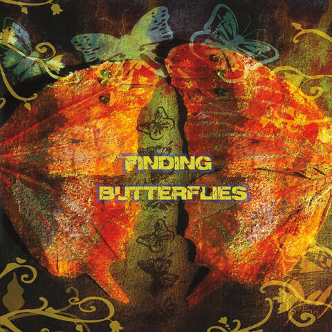 Finding Butterflies