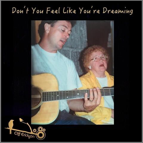 Don't You Feel Like You're Dreaming