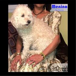 Menino