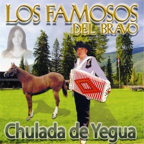 Chulada de Yegua