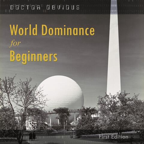 World Dominance for Beginners