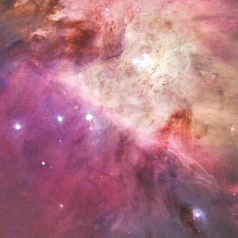 Star Party