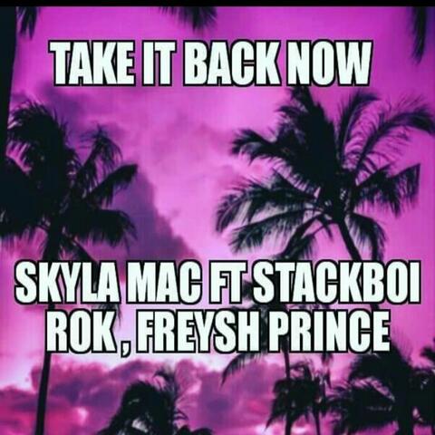 Take It Back Now (feat. Stackboi Rok & Freysh Prince)