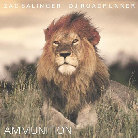 Ammunition