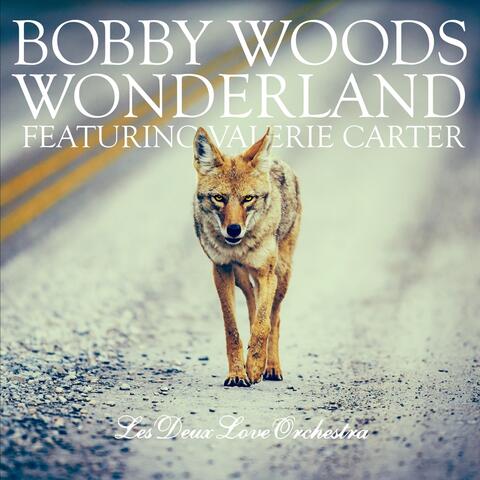 Wonderland (feat. Valerie Carter & Les Deux Love Orchestra)