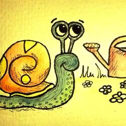 The Snail & the Watering Can