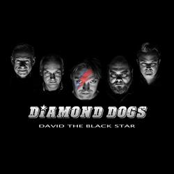 David the Black Star