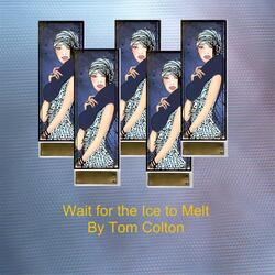 Wait for the Ice to Melt