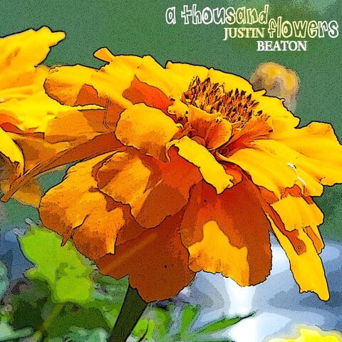 A Thousand Flowers