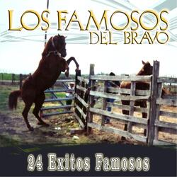 El Caballo de Marcial