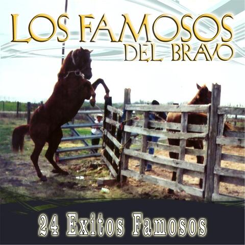 24 Exitos Famosos