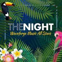 The Night