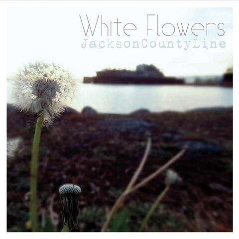 White Flowers
