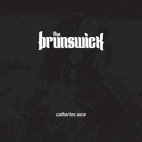 Cathartes Aura