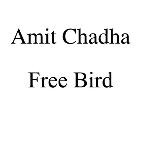 Free Bird