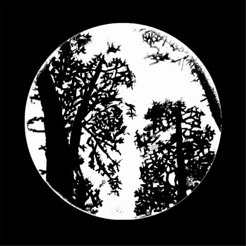 Old Moon