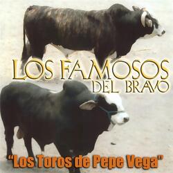 Carpinteros de San Luis