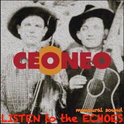 Listen to the Echoes (Monaural Sound)