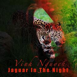 Jaguar in the Night