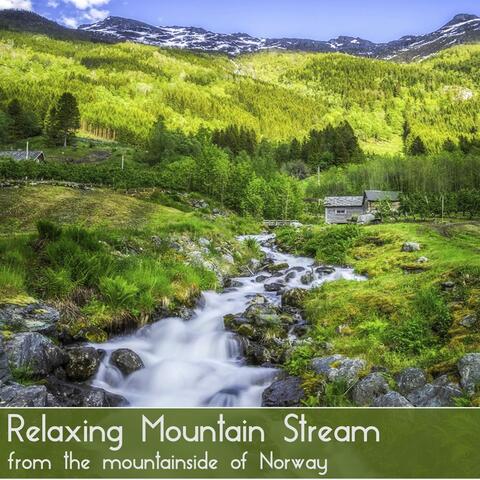 Relaxing Mountain Stream from the Mountainside of Norway