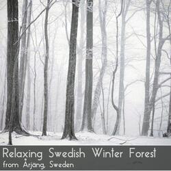 Wind and Leaves Rustling