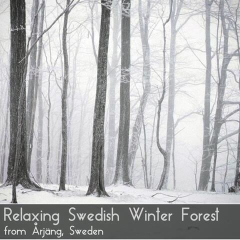 Relaxing Swedish Winter Forest from Årjäng, Sweden