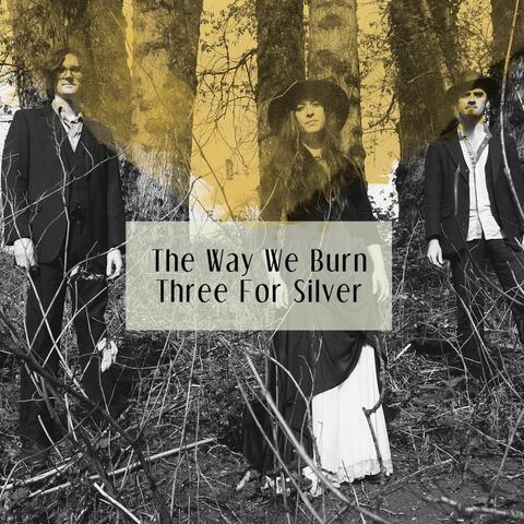 The Way We Burn