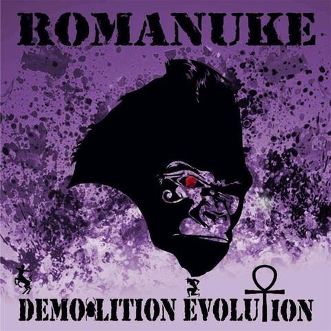 Demolition Evolution