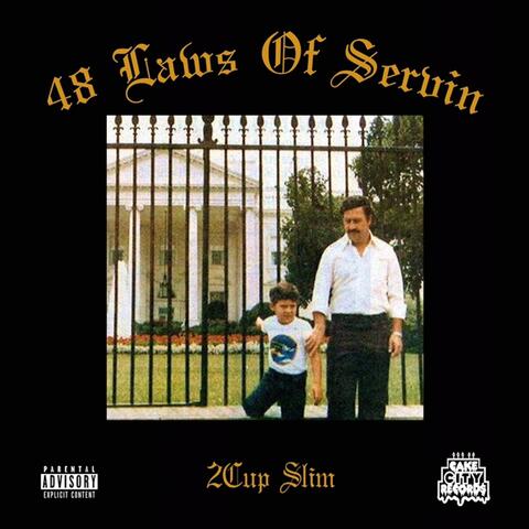 48 Laws of Servin