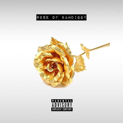 Rose of Bamdiggy