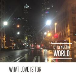 What Love Is For (feat. Nico)