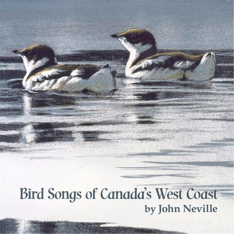 Bird Songs of Canada's West Coast