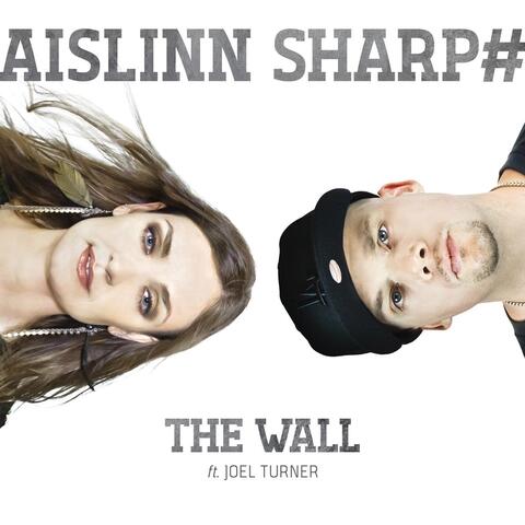 The Wall (feat. Joel Turner)