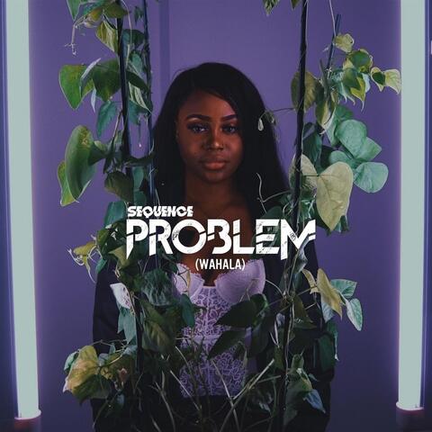 Problem