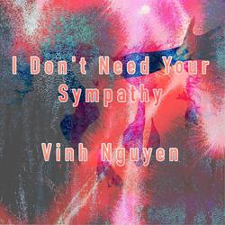 I Don't Need Your Sympathy