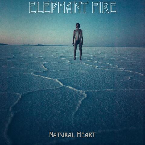 Elephant Fire