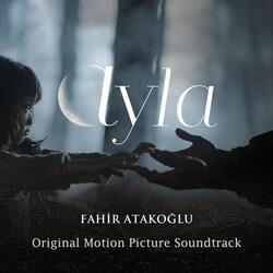Finding Ayla in the Forest