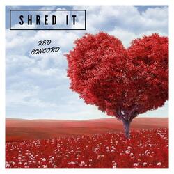 Shred It