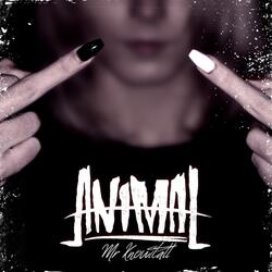 Mr. Knowitall