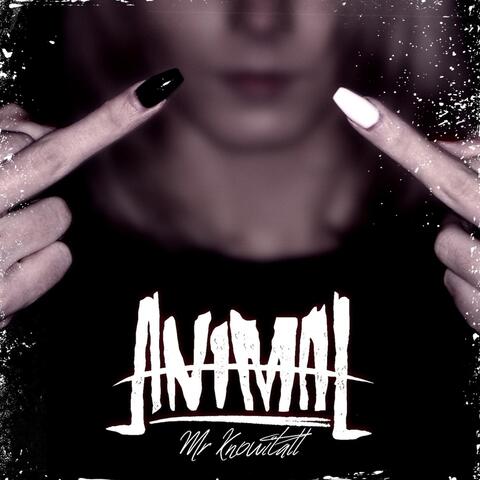 Mr. Knowitall