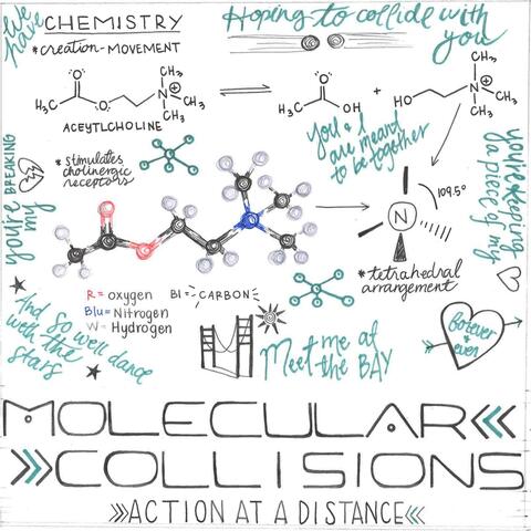 Molecular Collisions