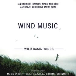 String Quartet No. 1 in C Minor, Op. 51 No. 1: III. Molto moderato e comodo (Arr. by Mark Popkin)