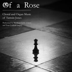 Praeter Rerum Seriem