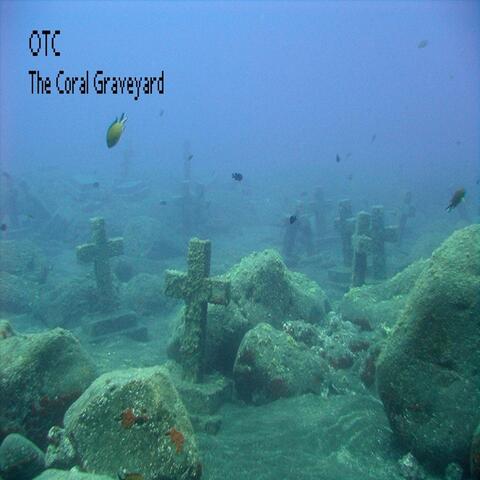 The Coral Graveyard