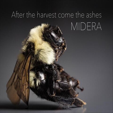 After the Harvest Come the Ashes