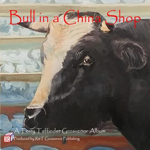 Bull in a China Shop