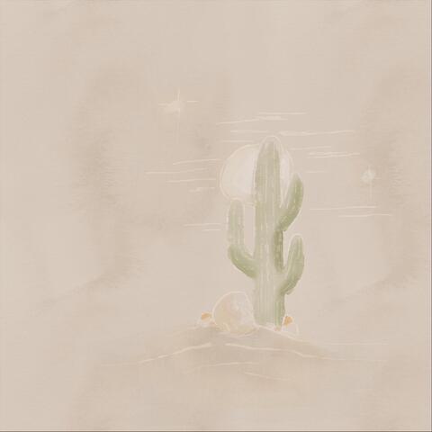 Christmas Cactus
