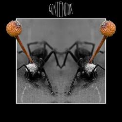 Devolution